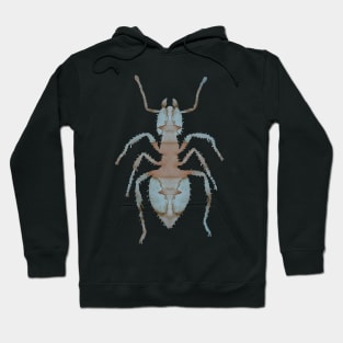 Ant Hoodie